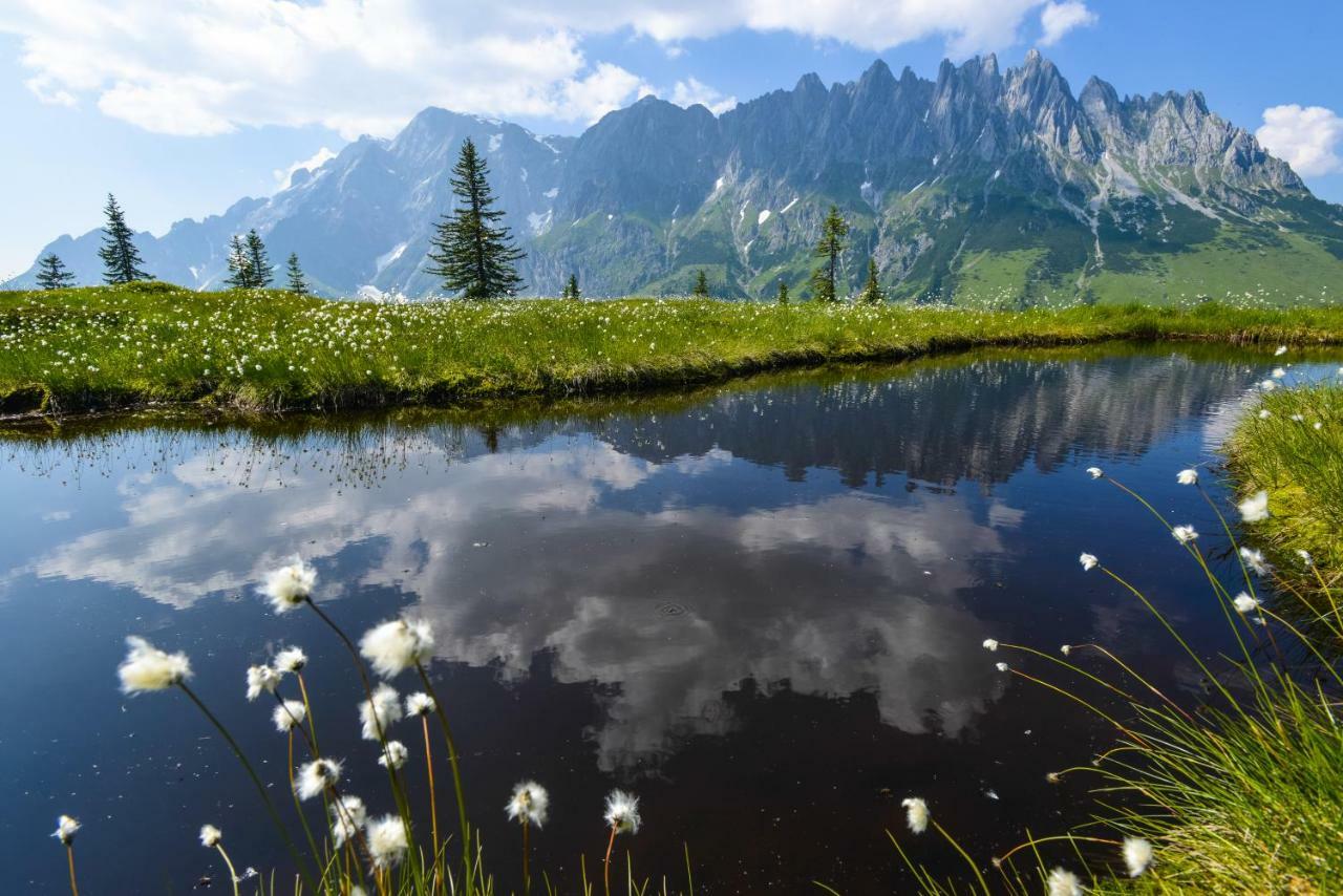 Alpenhof Schwaiger - Hotel Garni Mühlbach am Hochkönig المظهر الخارجي الصورة